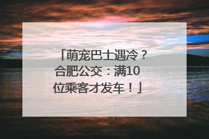 萌宠巴士遇冷？合肥公交：满10位乘客才发车！
